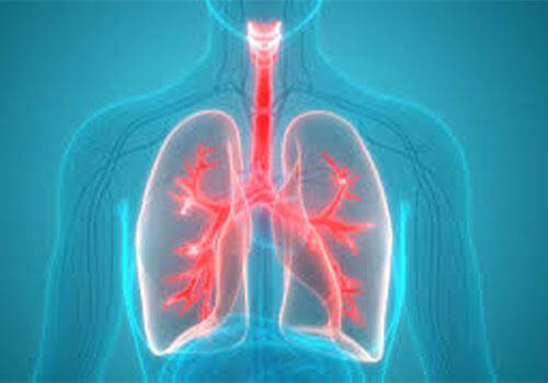 Longklachten en COPD behandeling - Fysiotherapie